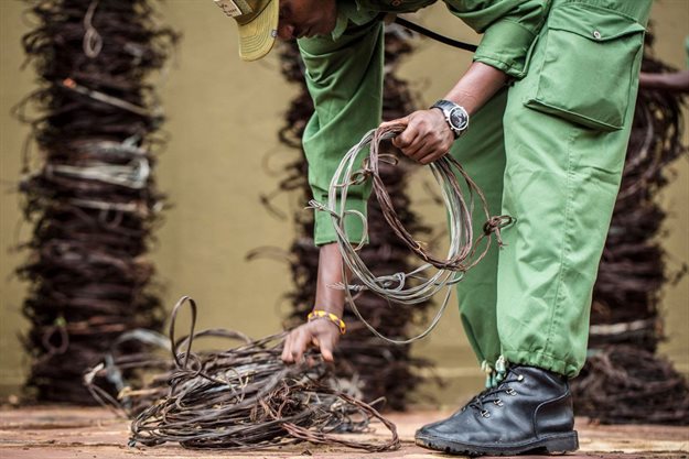 A member of the Grumeti Fund Anti-Poaching Unit collects and stores old wire snares. Wire snares are used by poachers to capture and trap animals. Wire snares are extremely dangerous and can be difficult to find in the wild as they are so easy to conceal. Snares do not discriminate and can cause irreversible damage to animals that were not the original target of the poachers.