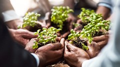 Building back better on food and agriculture