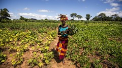 Applications open for Beyond Tourism in Africa innovation challenge