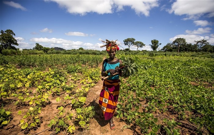 Image Supplied: Photo by WWF-US/ ©James Morgan