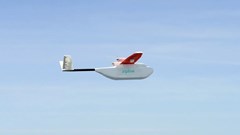 Walmart to trial drone deliveries of health and wellness products