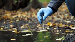 Court ruling in water pollution case