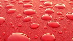 The dos and don'ts for preserving the paint on your car