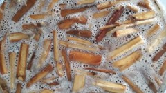 Honey-alcohol fermentation experiment with chopped “moerwortel” plant additive, Glia prolifera. Neil Rusch