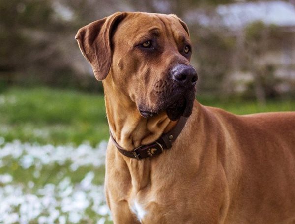 #DoBizZa: Local students start up Collars4Africa