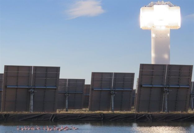 New study: Solar power tower has less impact on bird populations than expected