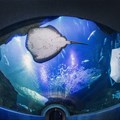 Two Oceans Aquarium launches a series of dinners