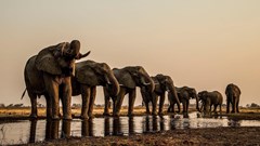 All the winners of the 2020 Jozi Film Fest