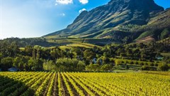 South Africa's land reform policies need to embrace social, economic and ecological sustainability
