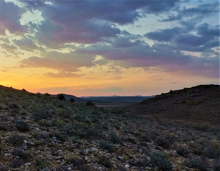 How to explore the wild at the Sanbona Wildlife Reserve