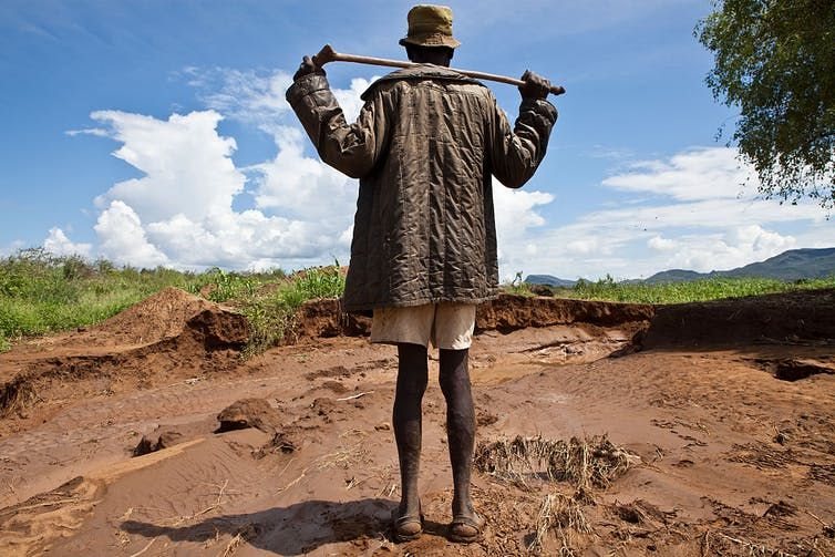 A maize farmer in Kenya surveys his degraded land. Photo by David Bathgate/Corbis via Getty Images
