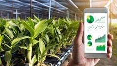 Food provenance platform set to boost SA beef supply chain