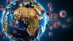 Covid-19: Examining theories for Africa's low death rates