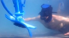 Screengrab from Kreepy Krauly ad.