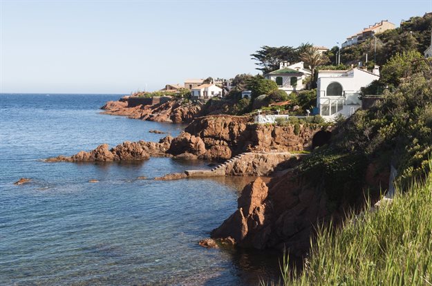 Image source: Gallo/Getty