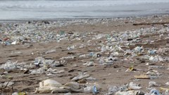 Why microplastics found in Nigeria's freshwaters raise a red flag