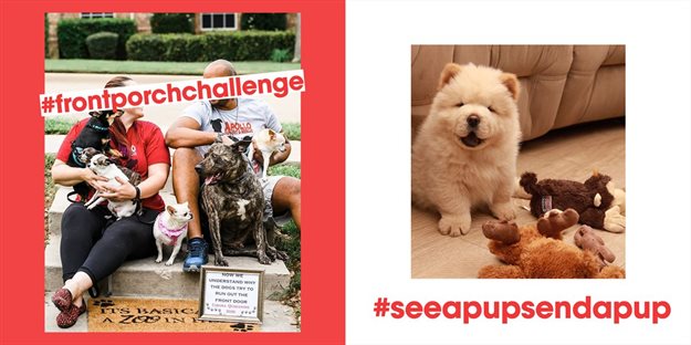 What is shaping culture? The early days of Covid (pt 1)