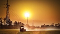 Dust in the atmosphere is a sign of trouble in South Africa's maize fields