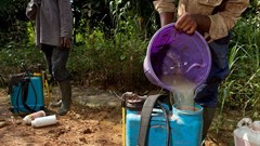 Small efforts can protect farmers from pesticides. Insights from Zambia