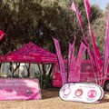 Scan Display supports PinkDrive with outdoor branding