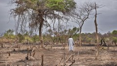 Climate change, migration and urbanisation: patterns in Sub-Saharan Africa