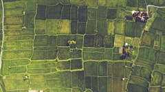 Committee adopts report on land tenure rights bill