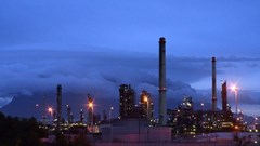 Green Scorpions order City of Cape Town to sort out pollution in Milnerton Lagoon