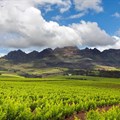Visit Stellenbosch launches new brand and logo