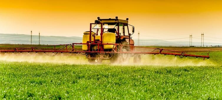 Global food system emissions alone threaten warming beyond 1.5°C - but we can act now to stop it