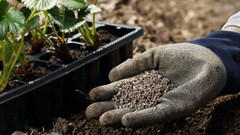 We found a way to turn urine into solid fertiliser - it could make farming more sustainable