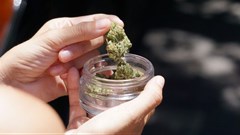 Credit: Elsa Olofsson from Pexels