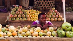 City planning is a critical lever to address urban food insecurity