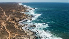 Much of the West Coast between Elands Bay in the south and Alexander Bay in the north is, or has already been, the target of mining operations. Photos: John Yeld