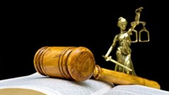 Extradition process begins for Bushiris