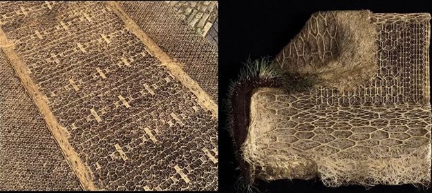 #Loeries2020: Rothco CCO shares his recipe for award-winning work