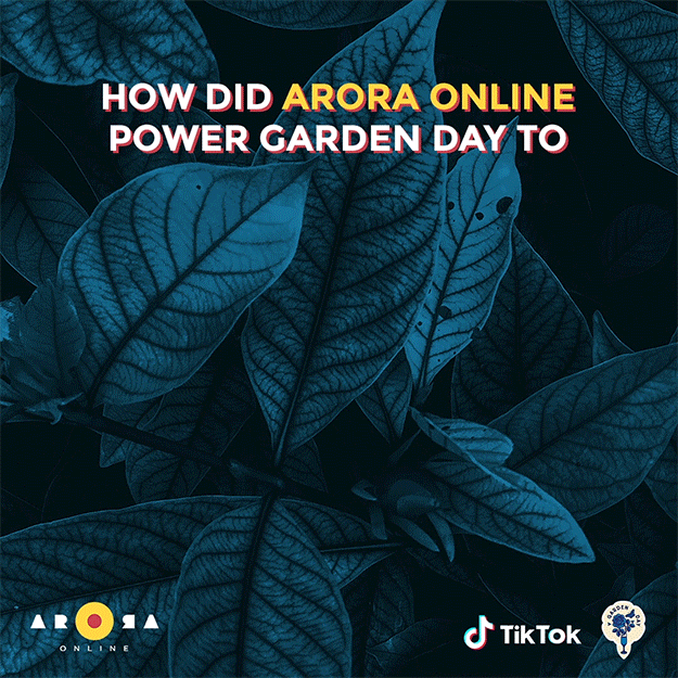 How Garden Day blossomed on TikTok