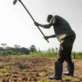 Boost smallholder phone access for better crop yields