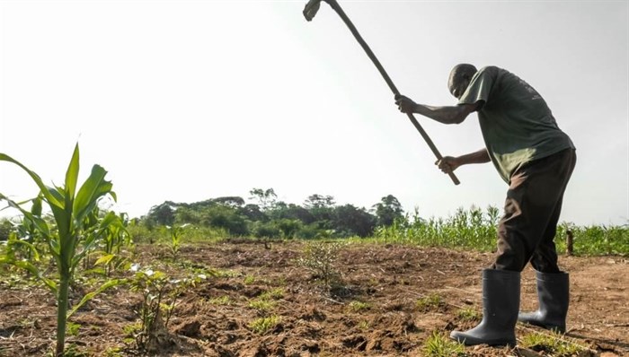 Boost smallholder phone access for better crop yields
