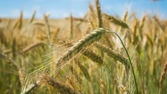 Low rates positive for agriculture heading into the new crop season
