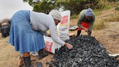 Eco-friendly charcoal production to boost SA's water security