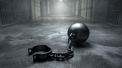 Government investigating Bushiris' escape