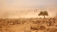 Africa must be at the heart of climate negotiations