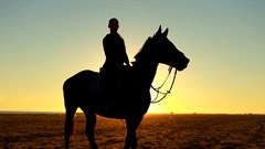 Advertising. Why do bad ads happen?