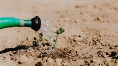 Karolina Grabowska via