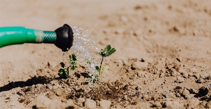 Karolina Grabowska via