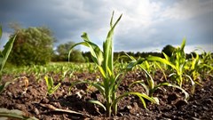 Cabinet approves Land Donations Policy for implementation