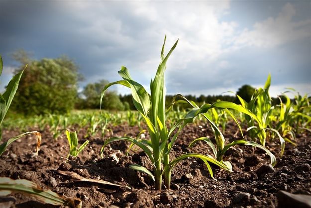 Cabinet approves Land Donations Policy for implementation