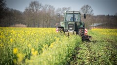 Global agriculture trade remains steady through pandemic