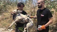 2020: A year of pain - and possibility