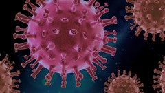 Severe Covid may be caused by 'autoantibodies' - here is what that means